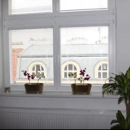 Lenka'S Cozy Red Studio + Lenka'S Cozy Gold Apartment 프라하 외부 사진